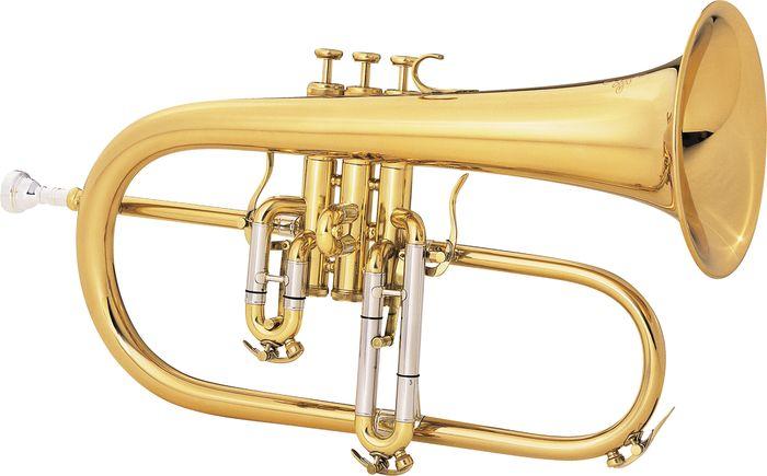 Bb flugelhorn Legend