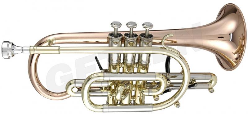 Custom Bb cornet