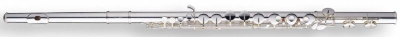 Professional G alto flute