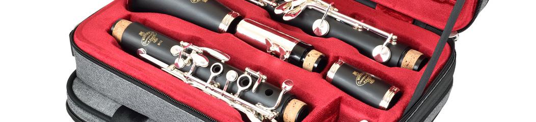 Clarinet gig case