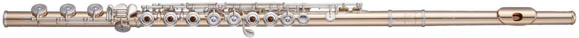 Maesta flute gold Champagne