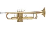 BACH 17043GY