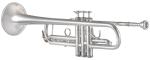 BACH 17043GY