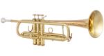 BACH 17043GY
