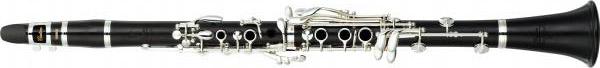 Clarinet professional CUSTOM CSG serie