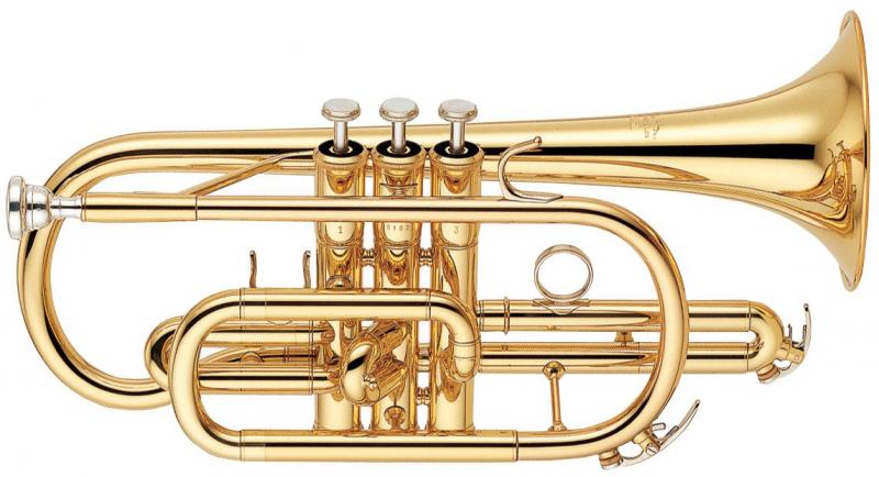 Bb cornet Professional serie